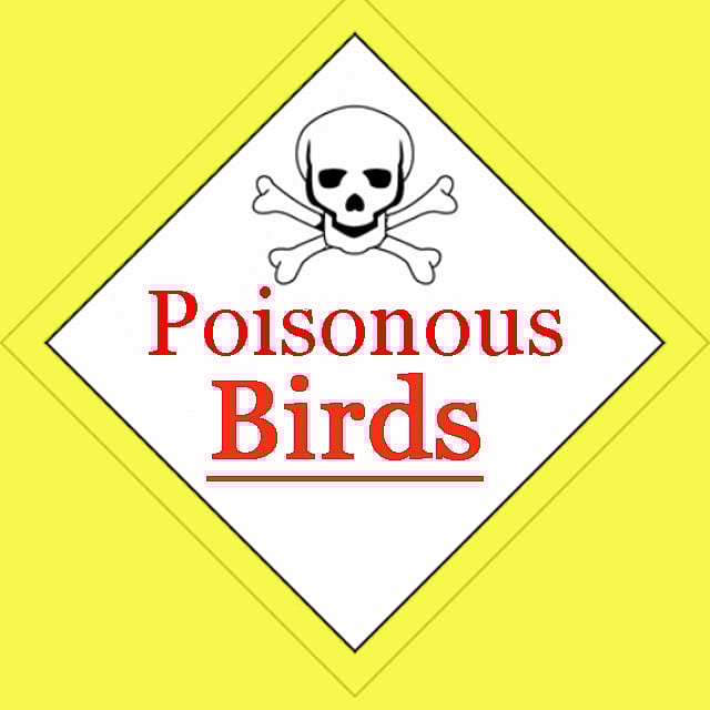 A warning sign that alerts people that some birds can be poisonous.