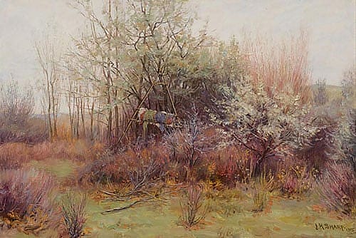 The Grave of a Crow Child; [Grave of Crow Papoose]